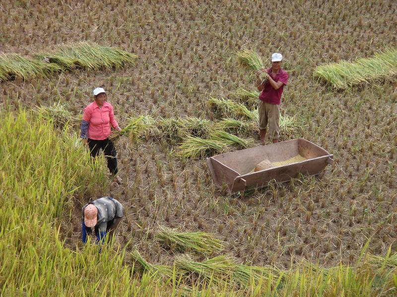 種植業