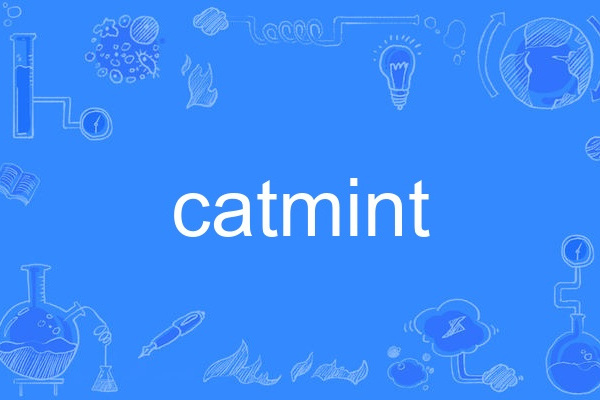 catmint