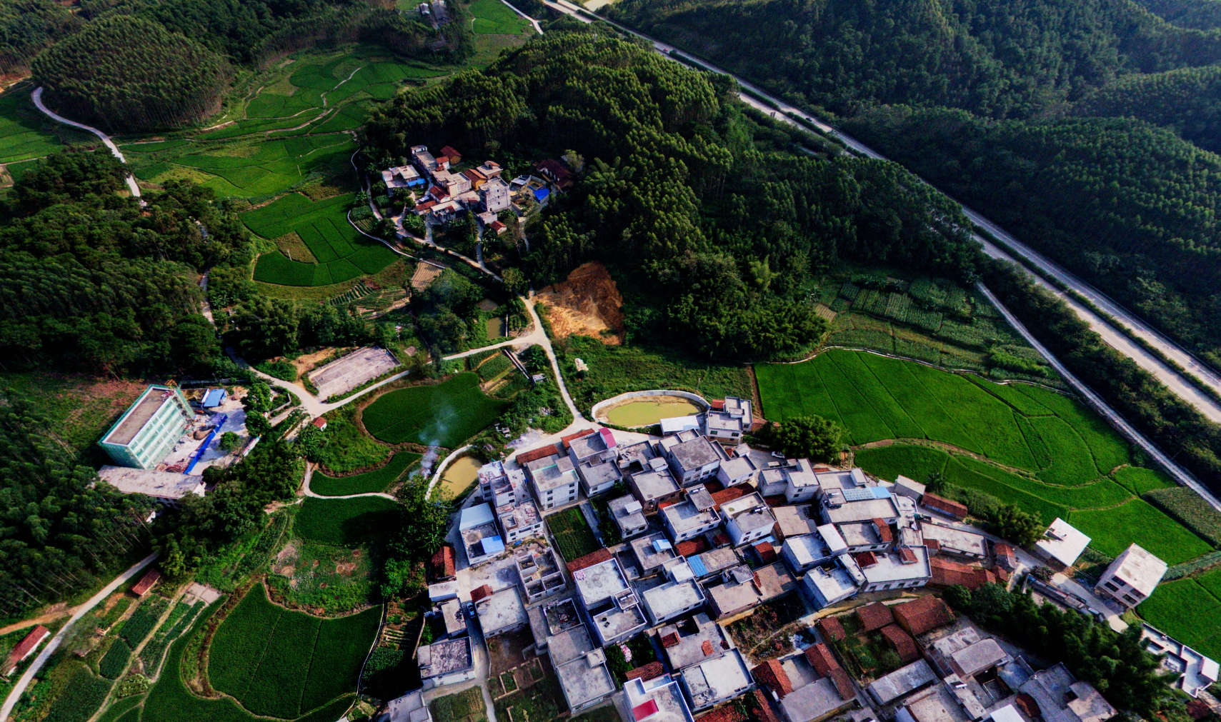 東雞村