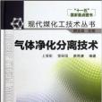 現代煤化工技術叢書：氣體淨化分離技術