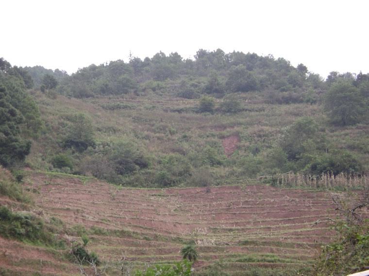 瓦房村自然村(雲南省普洱市鎮沅縣恩樂鎮瓦房村自然村)