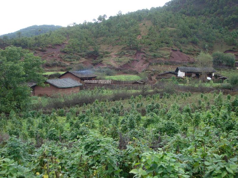 萬馬廠村