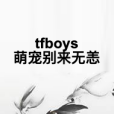 tfboys萌寵別來無恙