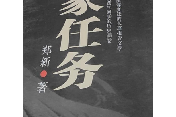 國家任務(2008年中國青年出版社出版的圖書)