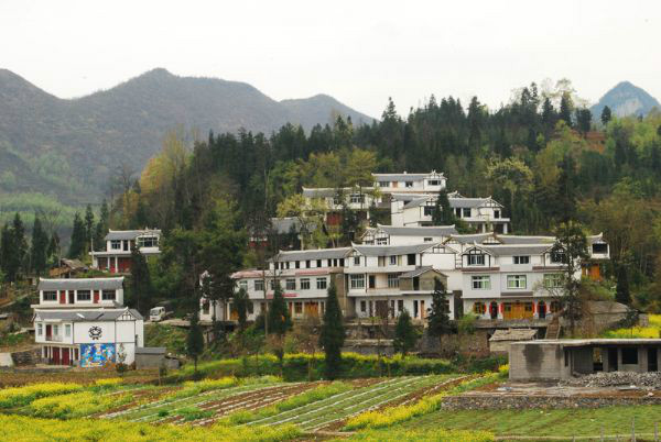 箐腳村(雲南省文山州西疇縣法斗鄉箐腳村)