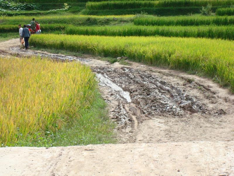 桃子樹自然村(雲南大理永平縣博南鎮東莊村委桃子樹自然村)