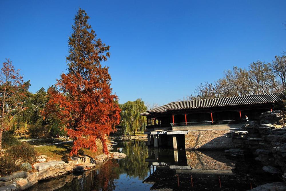 中山公園(北京市東城區中山公園)