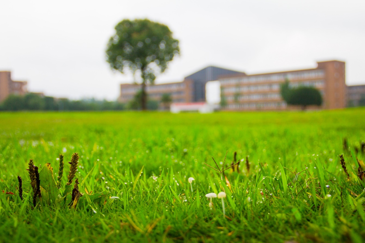 寧波大學