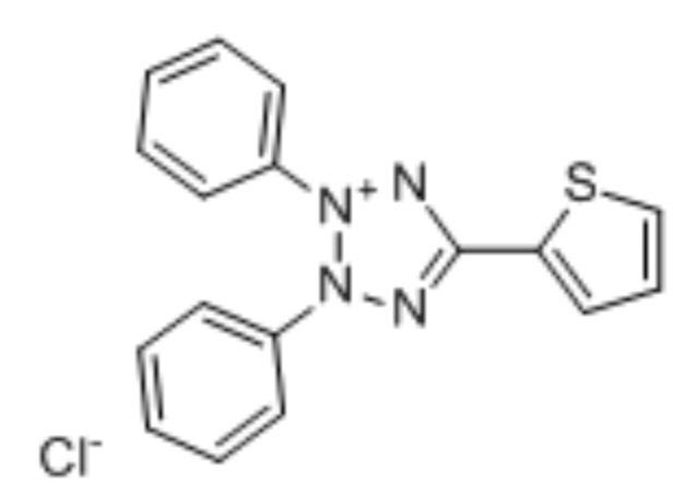 2,3-二苯基-（2-噻吩基）四氮唑