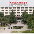 武漢科技大學附屬醫院