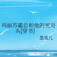 瑪麗蘇霸總和他的死對頭[穿書]