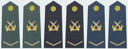 陸海空軍下士軍銜肩章(2009—)