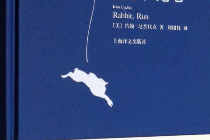 兔子，跑吧(2007年上海譯文出版社出版的圖書)