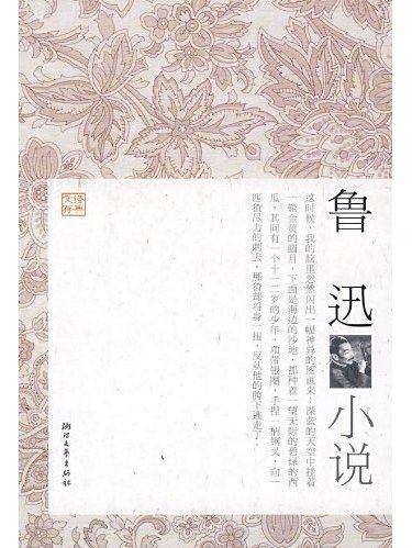 魯迅小說(2009年浙江文藝出版社出版的圖書)