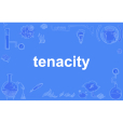 tenacity(英語單詞)