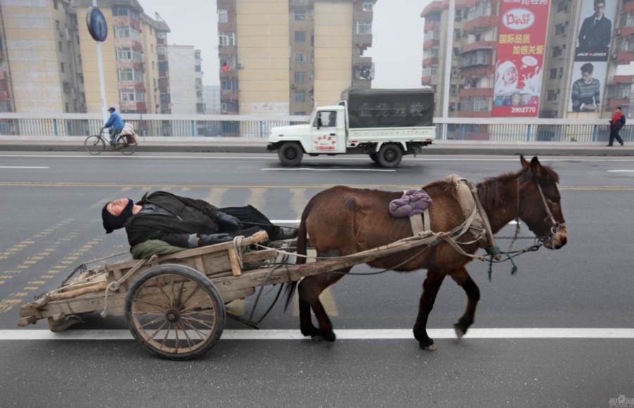 騾車