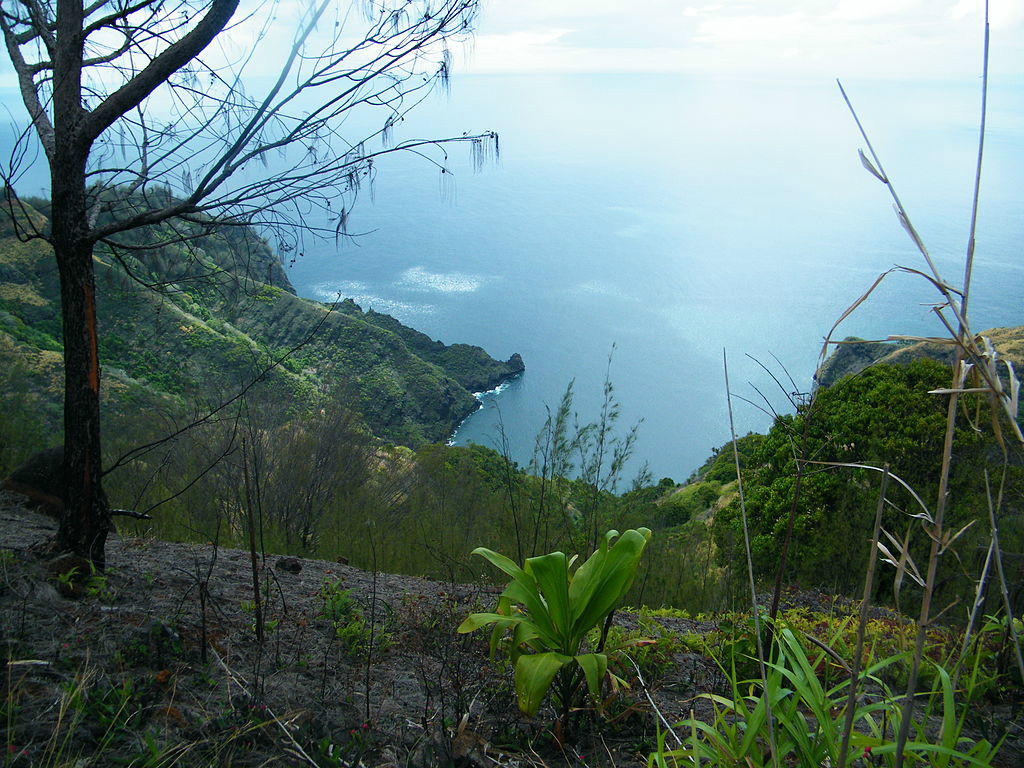 在塔瓦塔島登山眺海