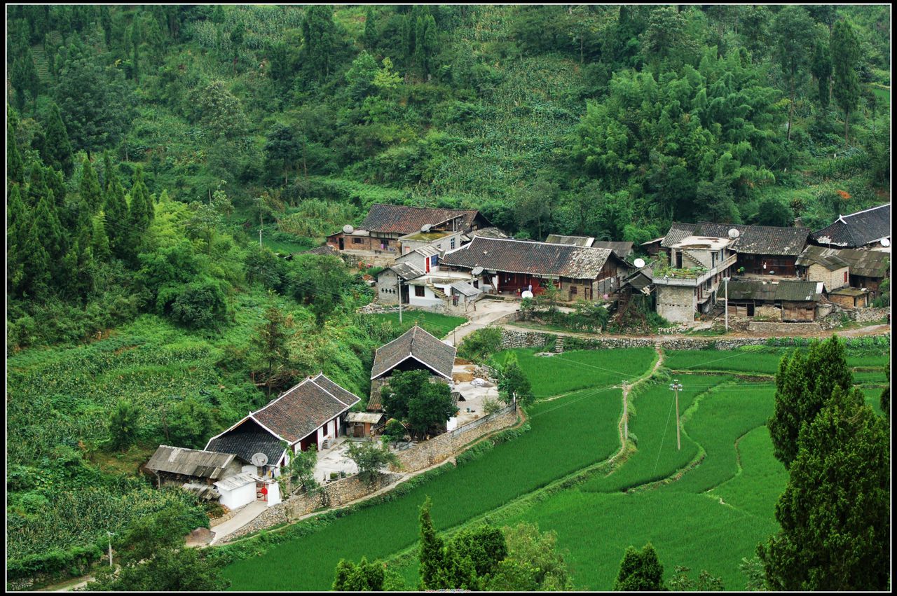 樊家沖村