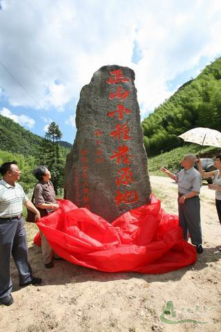 桐木村(福建省武夷山市星村鎮桐木村)