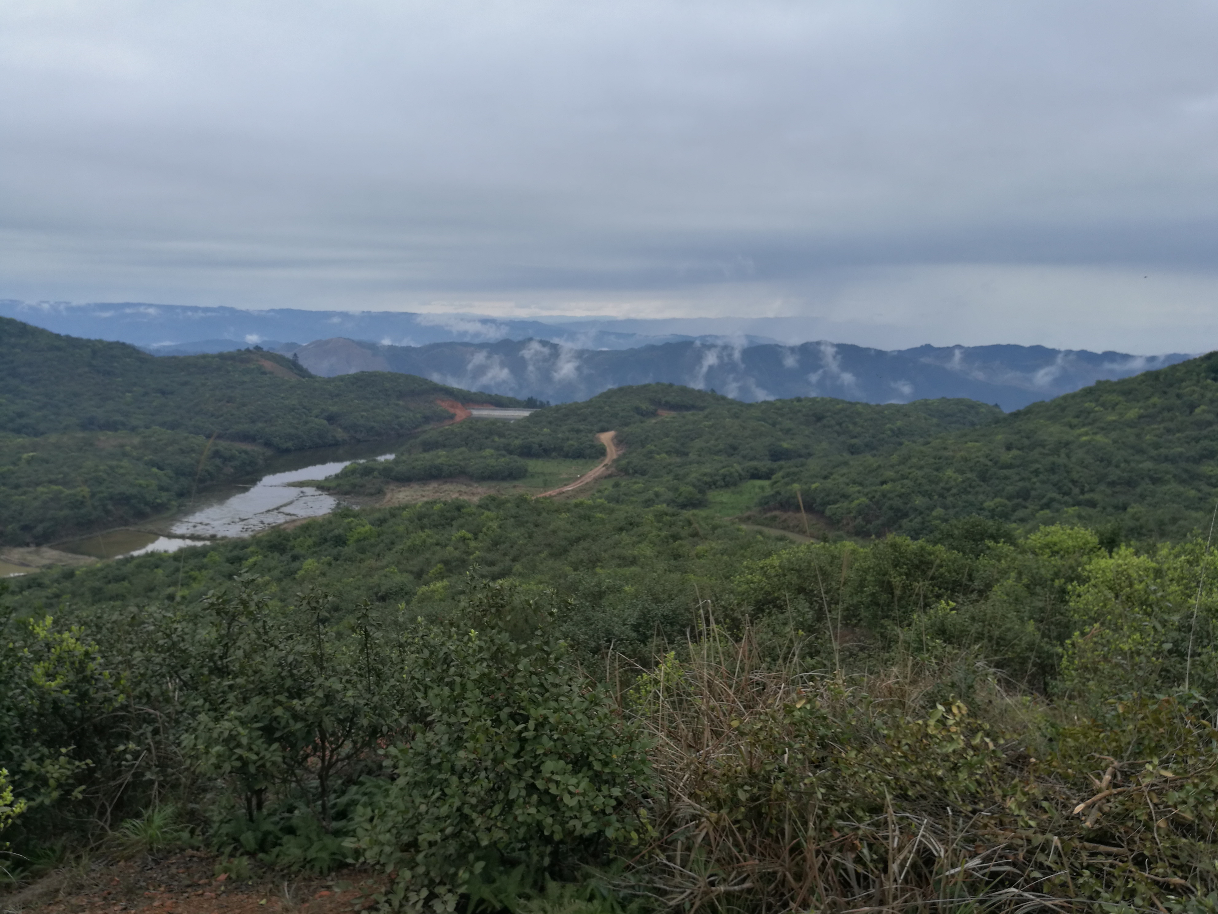 雲照村