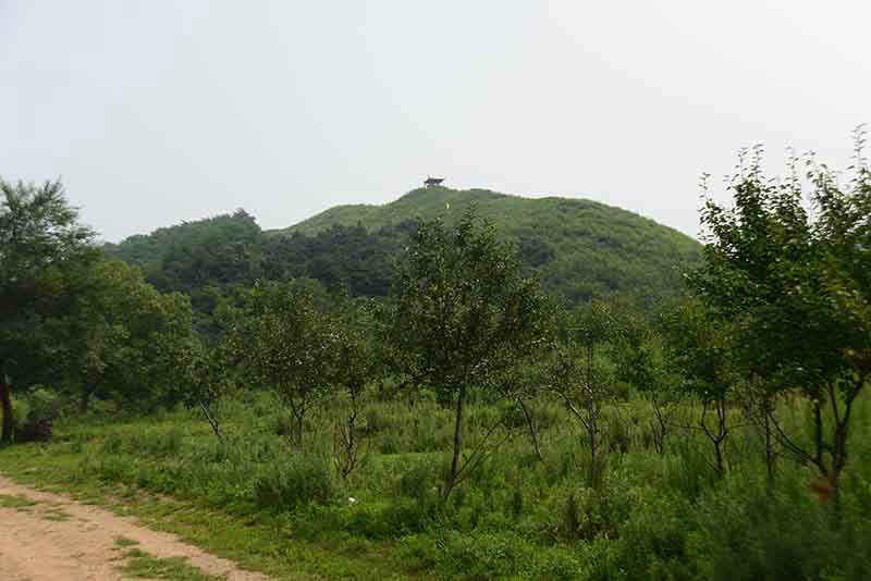 九鼎巍峰山生態農業園