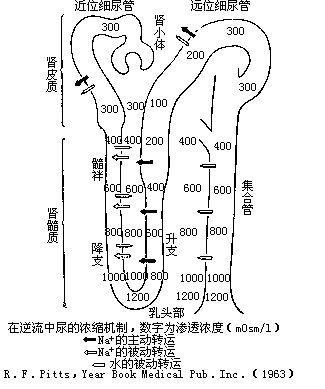 逆流系統