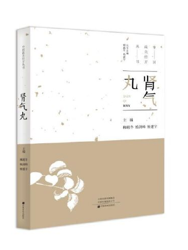 腎氣丸(2019年中原農民出版社出版的圖書)