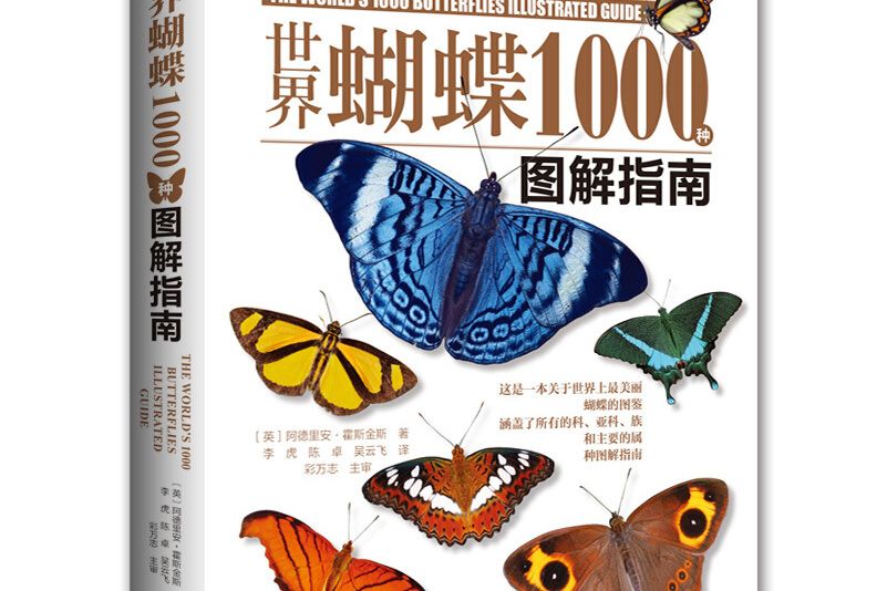 世界蝴蝶1000種圖解指南