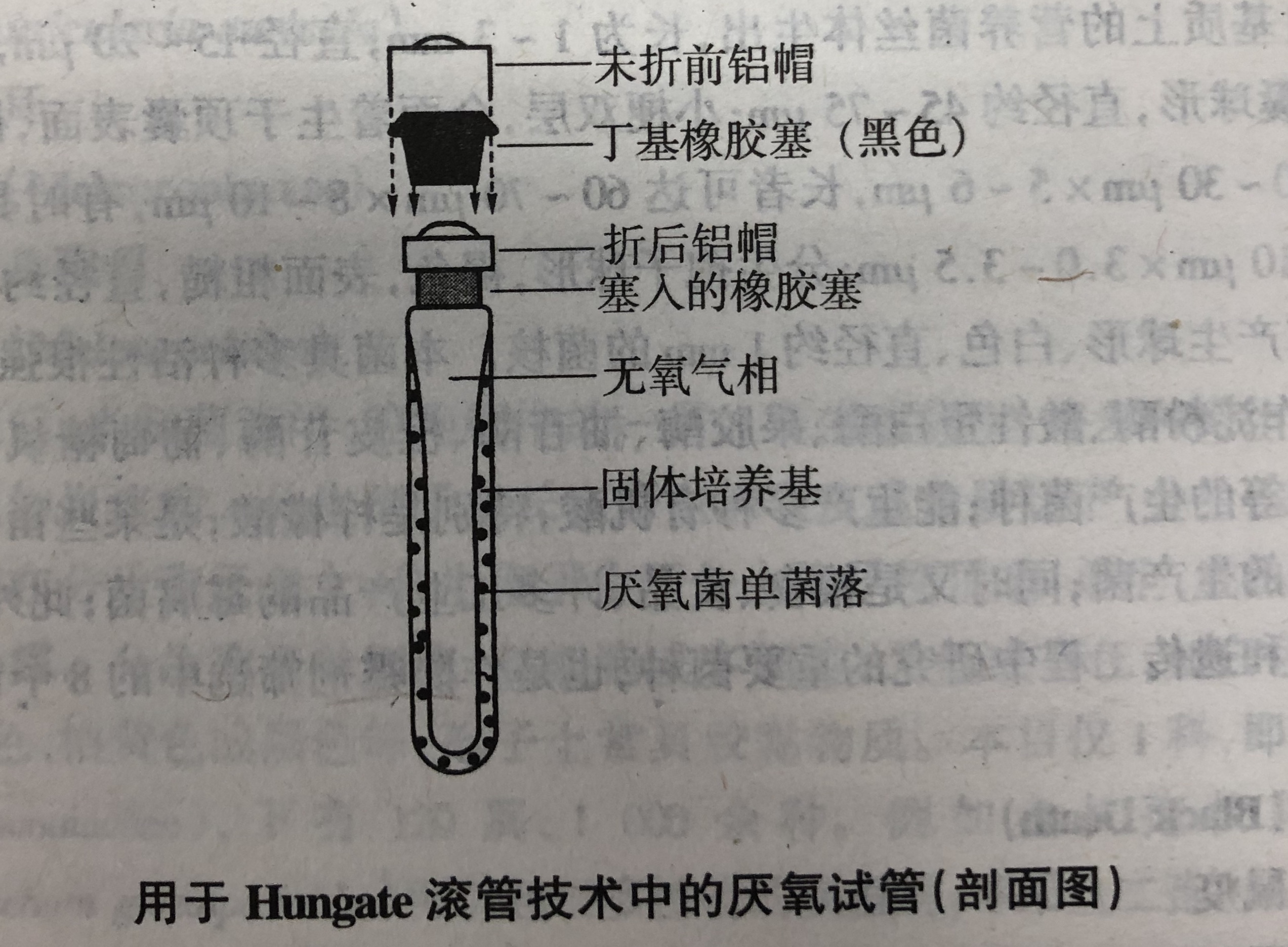 亨蓋特滾管技術