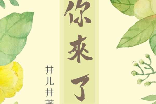 你來了(豆瓣閱讀作者井兒井所作言情小說)