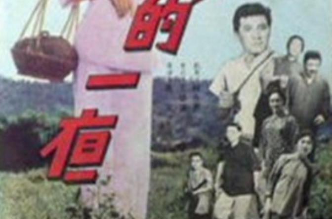 最長的一夜(1965年金鰲勛執導電影)