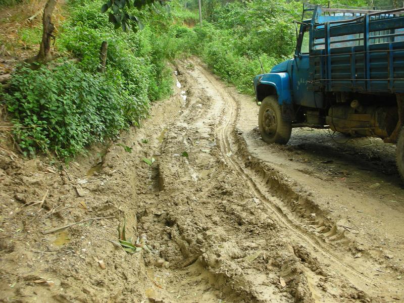 岔路山自然村通村道路