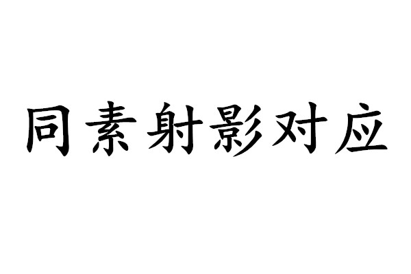 同素射影對應