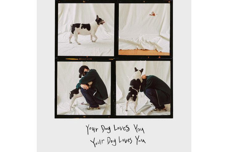 Your Dog Loves You