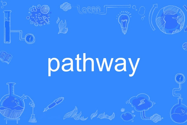 pathway