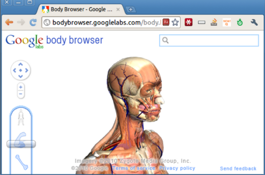 Google人體瀏覽器