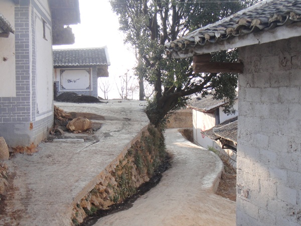 大水溝村(雲南省保山市龍陵縣鎮安鎮大水溝村)