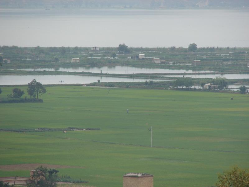 雲南省石屏縣異龍鎮大水村稻田