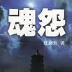 魂怨(任彥芳所著小說)