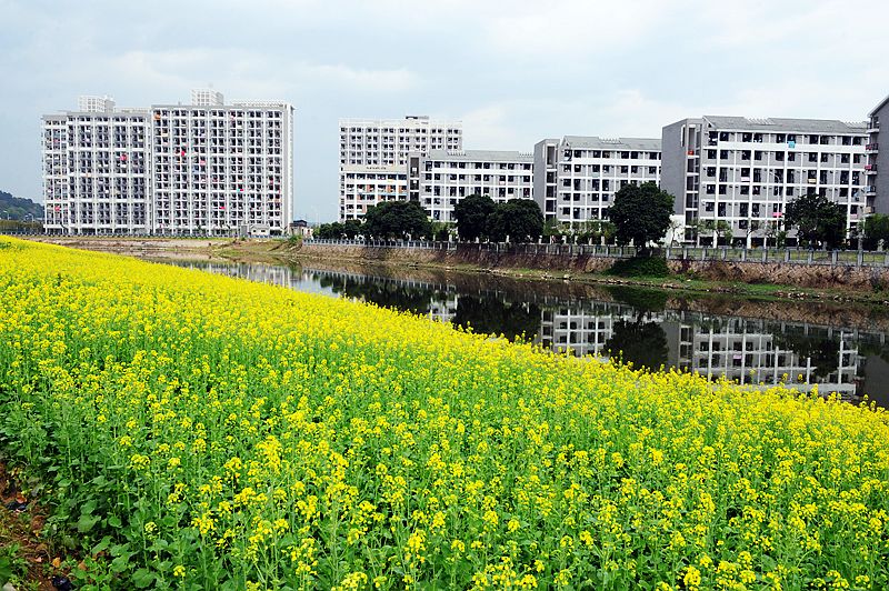 福建工程學院法學院