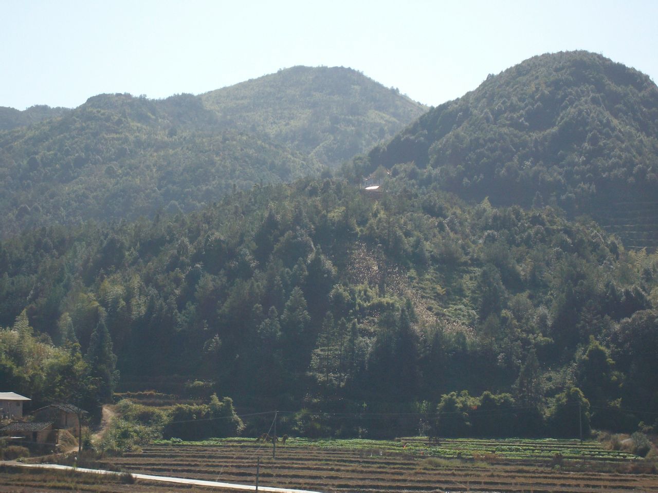 福東村