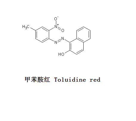 甲苯胺紅