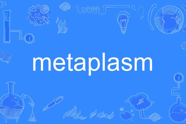 metaplasm