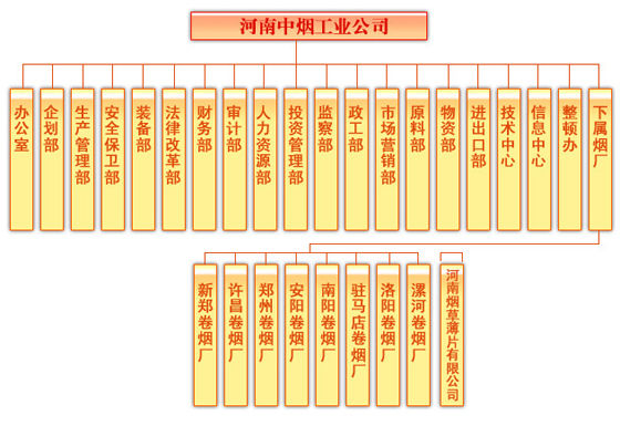 組織架構圖