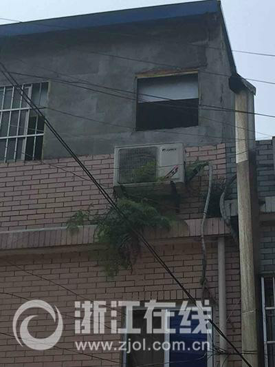 杭州濱江起火群租房或有違建