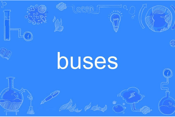 buses