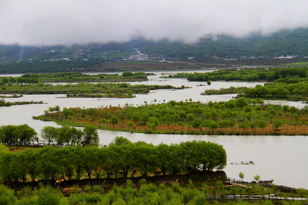 雅尼國家濕地公園