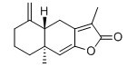 白朮內酯 I