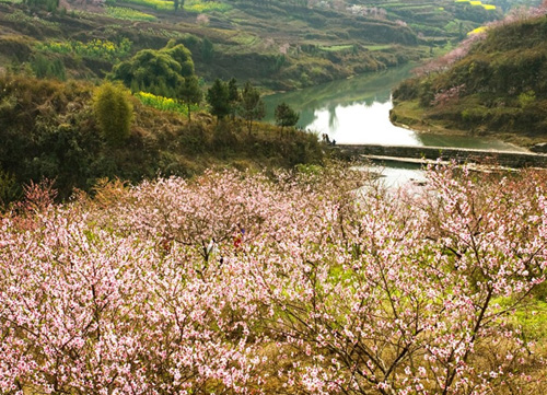 毛城桃花山