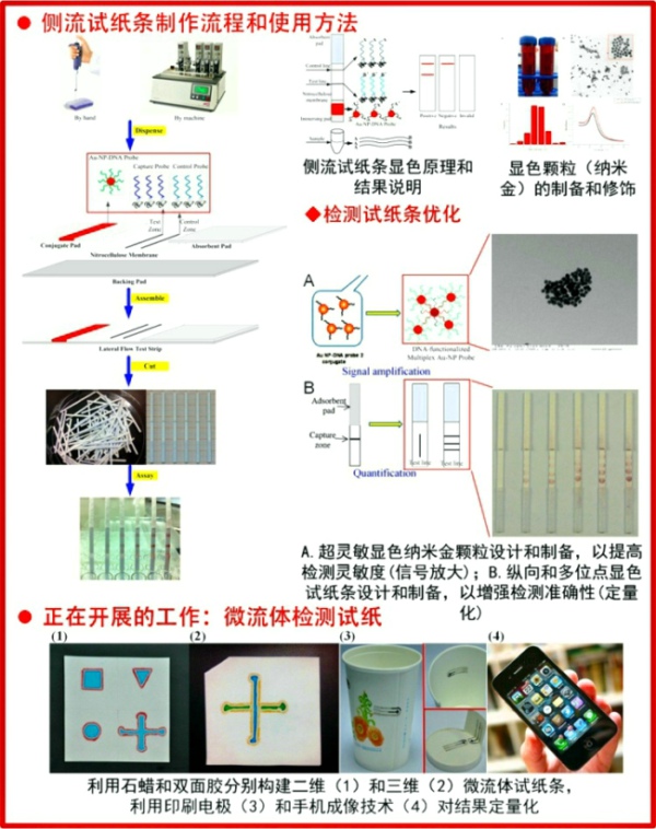 西安交通大學仿生工程與生物力學中心